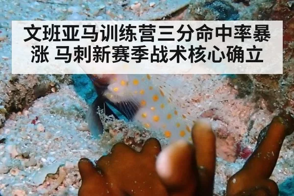 文班亚马训练营三分命中率暴涨 马刺新赛季战术核心确立
