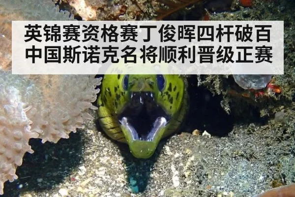 英锦赛资格赛丁俊晖四杆破百中国斯诺克名将顺利晋级正赛